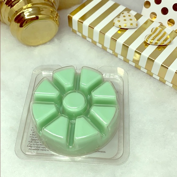 PartyLite Other - Scent Plus Mountain Waters Aroma Melt PartyLite